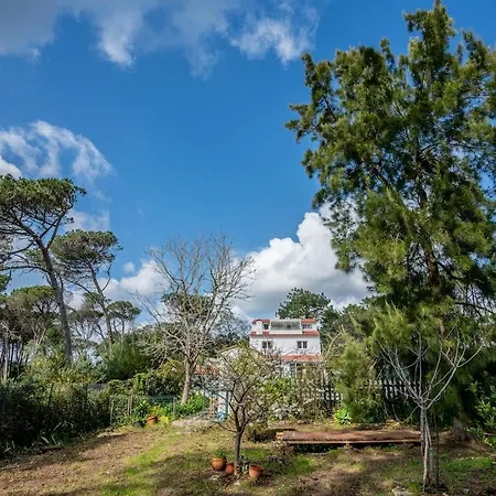 Casa Surya Muena Feriehus *